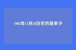 1905年11月28日农历是多少