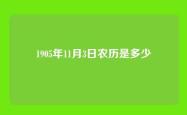 1905年11月3日农历是多少