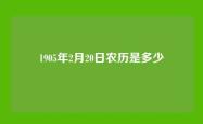 1905年2月20日农历是多少