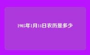 1905年1月14日农历是多少