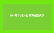 1904年10月20日农历是多少