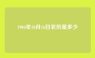 1904年10月16日农历是多少