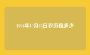 1904年10月12日农历是多少