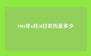 1904年6月20日农历是多少