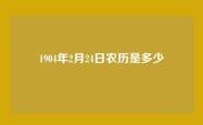 1904年2月24日农历是多少