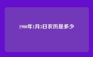 1900年1月3日农历是多少