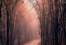 2026年9月14日适合结婚吗