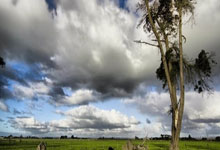 12月25日是什么星座