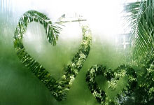 2026年7月10日适合结婚吗