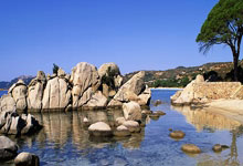 12月24日是什么星座