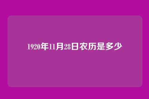 1920年11月28日农历是多少
