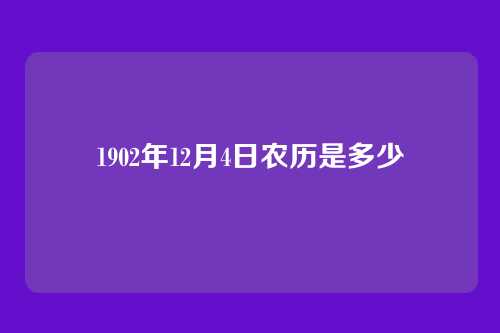 1902年12月4日农历是多少